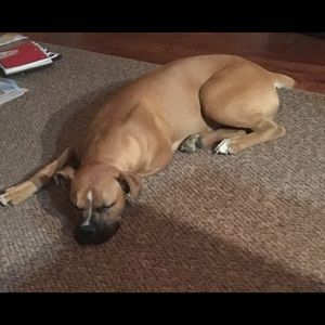 Meet your Posher, Gerald